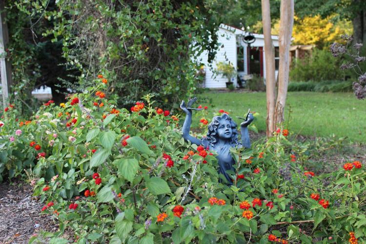 Meadow View Farm Bed & Breakfast Hernando Ngoại thất bức ảnh